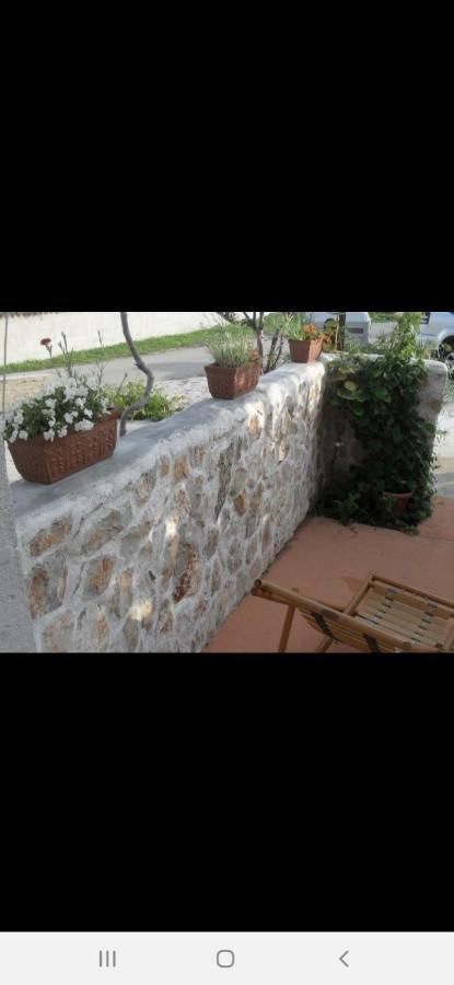 Basil Apartments And Rooms Betina  Bagian luar foto