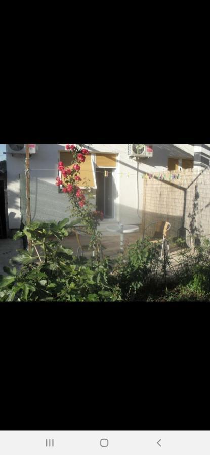 Basil Apartments And Rooms Betina  Bagian luar foto